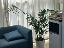 -美朵纹绣美牙纹眉工作室