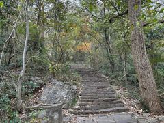 -紫金山山顶公园