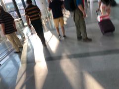 -上海旅游集散中心(万体站)