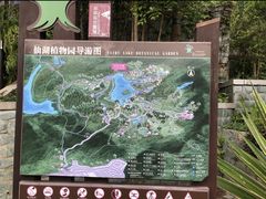 景点-深圳仙湖植物园