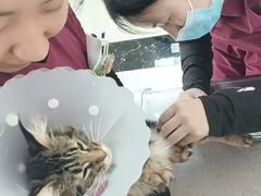 -美联众合动物医院·24h京西诊疗中心
