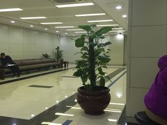-中国建设银行(上海市分行营业部)