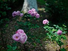 -苏州河梦清园环保主题公园