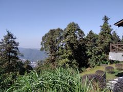 -广州市帽峰山景区