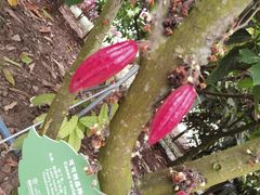 -歌斐颂巧克力小镇