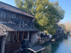 -乌镇西栅景区
