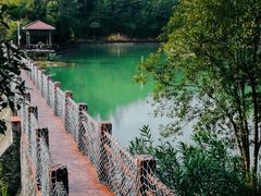 -广州白江湖森林公园