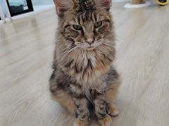 -1013 PET SHOP 宠物商店(近铁城市广场店)