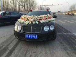 -蚂蚁婚车