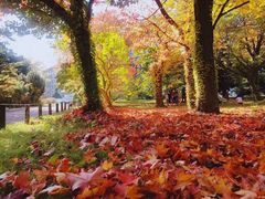 -北海道厅旧本厅舍(旧本庁舎)