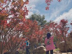-广州市帽峰山景区