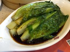 盐水白灼生菜-点都德(千灯湖环宇城店)