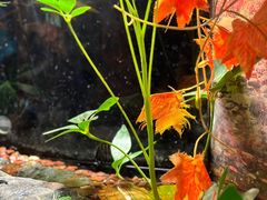 -上海海洋水族馆