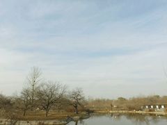 -御林古桑园