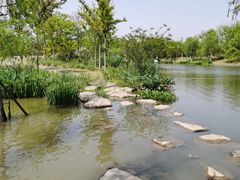 -上海长兴岛郊野公园