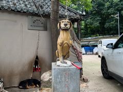 -成都爱之家动物救助中心