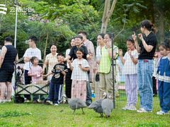 -云栖山谷露营地·团建年会·生日派对