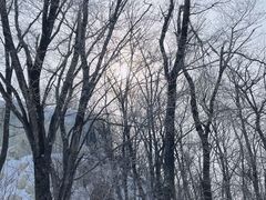 -中旅松花湖滑雪场