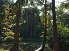 -滴水岩森林公园