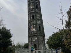 -上海佘山国家森林公园天马山园