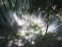 -竹泉村旅游度假区