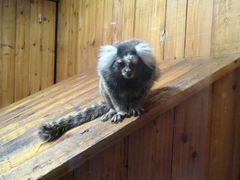 -上海昆虫博物馆