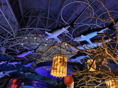 -烟台海昌鲸鲨海洋公园