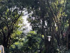 -深圳国际园林花卉博览园