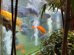 -又见炊烟私房菜(敬亭路店)