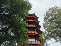 -绳金塔