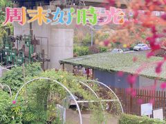 -云里小坐·小院里·团建·宴请·下午茶(三圣乡店)