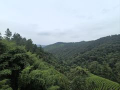 -安吉涵田度假村·龙倚楼咖啡厅