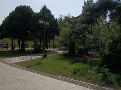 -北陵公园