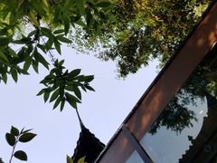 -大妙火锅·非物质文化遗产(东湖公园店)