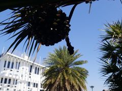 -深圳市罗湖体育馆