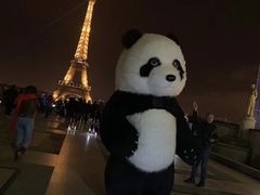 -埃菲尔铁塔