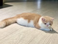 -Oh My Dog宠物沙龙(伊珊娜皮毛护理店)