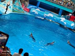 -海合安成都极地海洋公园