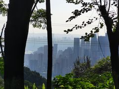 -南山植物园