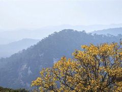 -大芦花风景区