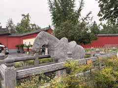 -洛阳白马寺