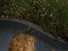 -溪口-滕头旅游景区