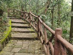 -海南热带雨林国家公园吊罗山景区
