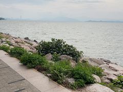-深圳湾公园(南山区)