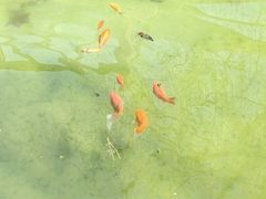 -河北村民俗体验园