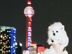 -黄浦江游览(十六铺码头)
