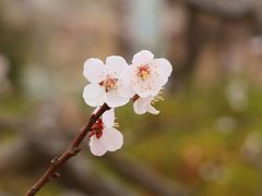 -朝阳公园