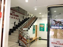 -创凡宠物医院·骨专科  猫科中心(西乡分院)