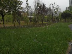 -沐仙湖湿地公园