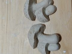 -垚陶陶(同成街华联店)